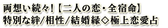 両想い続々!【二人の恋・全宿命】特別な絆/相性/結婚縁◇極上恋愛占 両想い続々!【二人の恋・全宿命】特別な絆/相性/結婚縁◇極上恋愛占